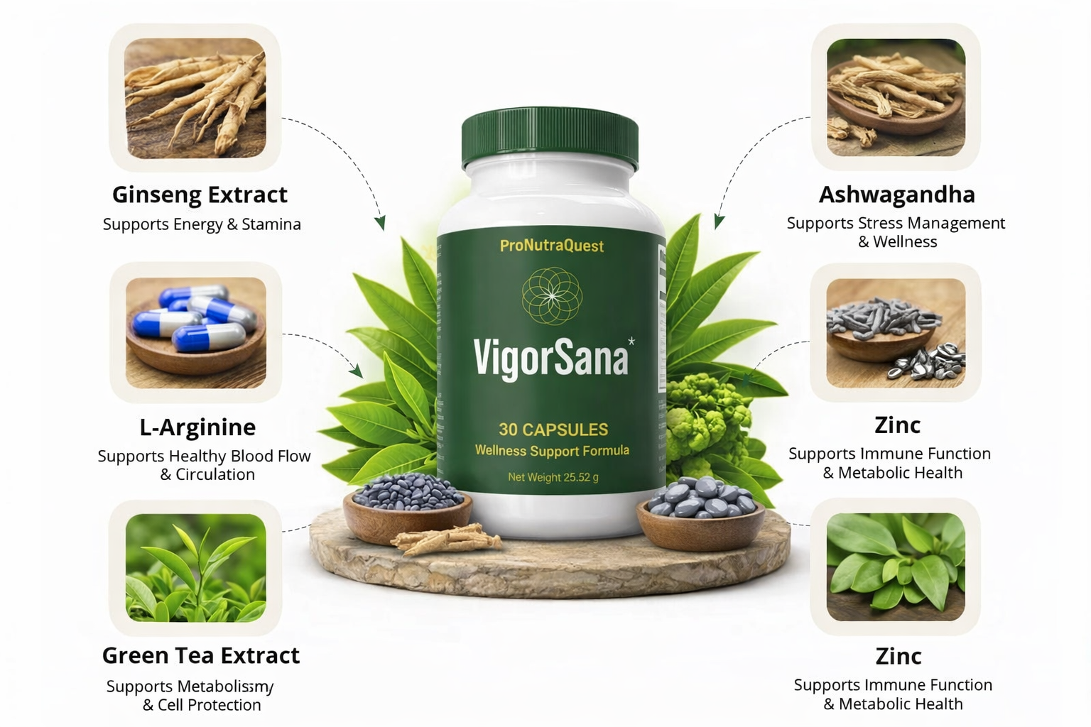 VigorSana Ingredients